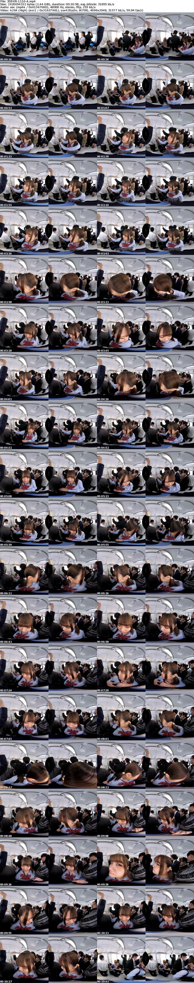 (VR) 3DSVR-1110 満員電車で目の前には巨乳の女性！不可抗力でおっぱい当たっちゃうVR