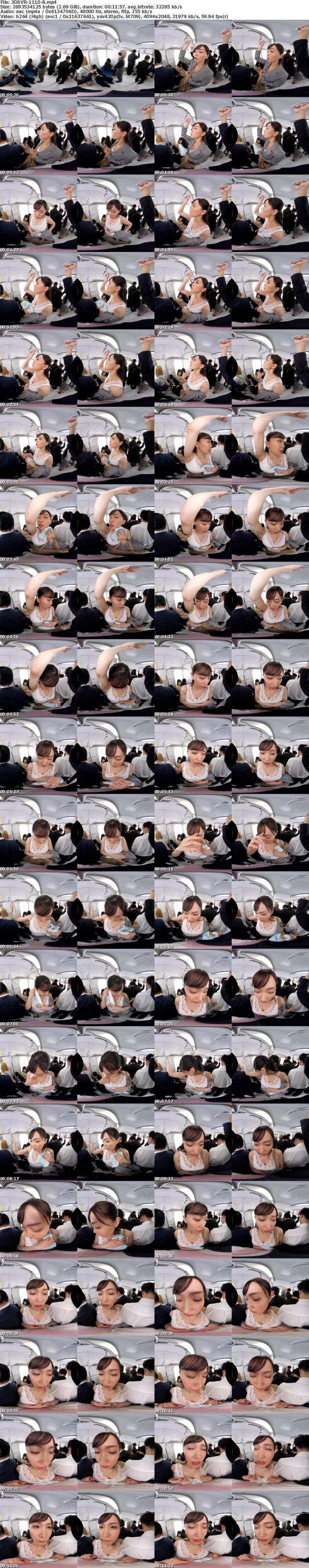 (VR) 3DSVR-1110 満員電車で目の前には巨乳の女性！不可抗力でおっぱい当たっちゃうVR
